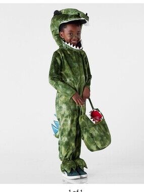 Pottery Barn Kids T-Rex Dinosaur Costume, 4-6 YR